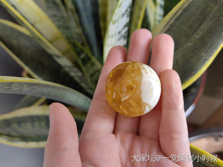 陷在蜜蜡坑里出不来了_琥珀蜜蜡