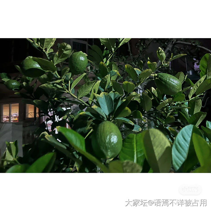 周六的夜 有点热 有点风 都是小美好_景色