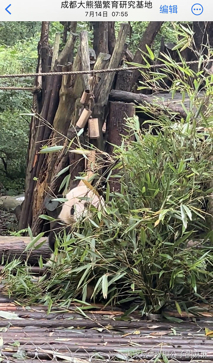 准备去成都看花花，求攻略_旅游