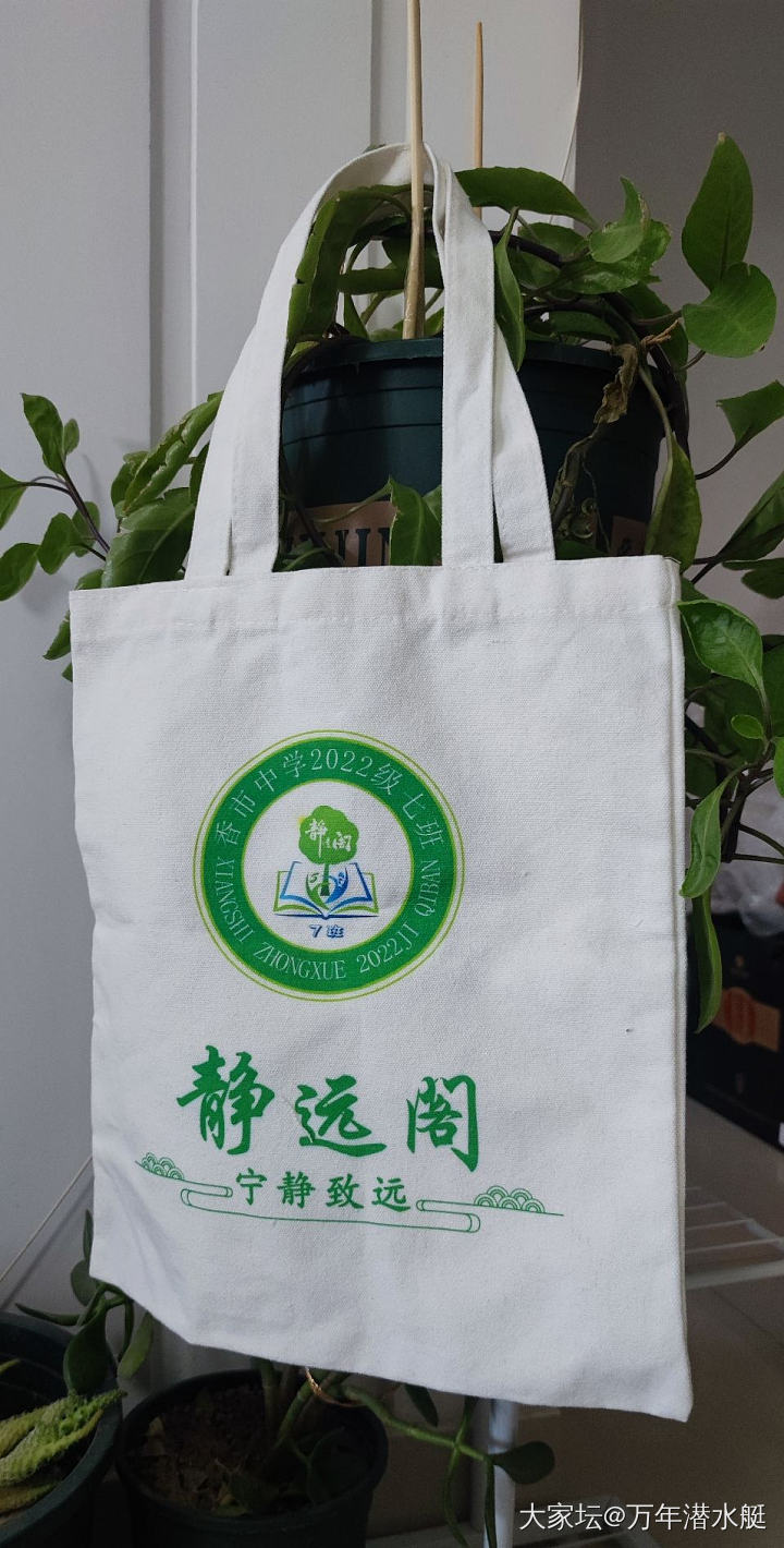 是时候展示我的羊毛帆布袋了_包包