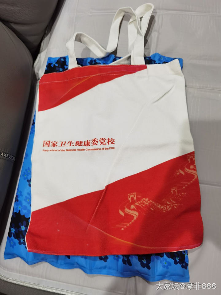 是时候展示我的羊毛帆布袋了_包包