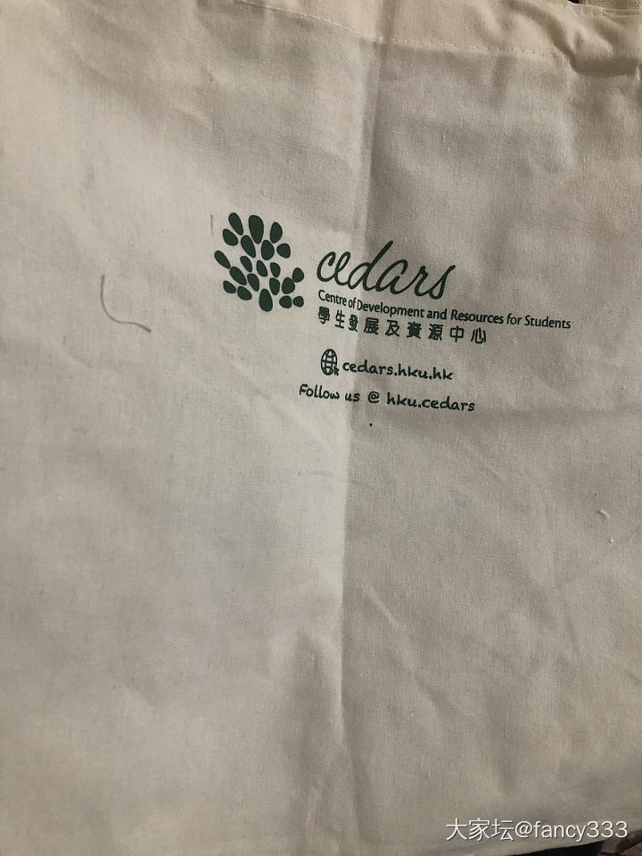 是时候展示我的羊毛帆布袋了_包包