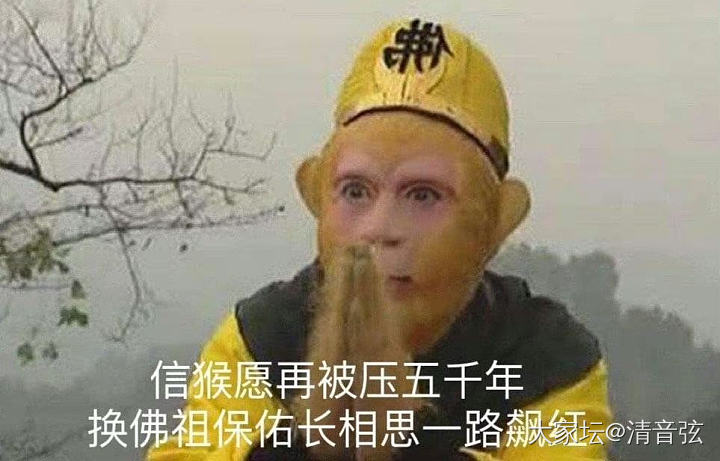 爱镯和我紫妹的《长相思》一块儿来了，一整个爱住！_剧集翡翠