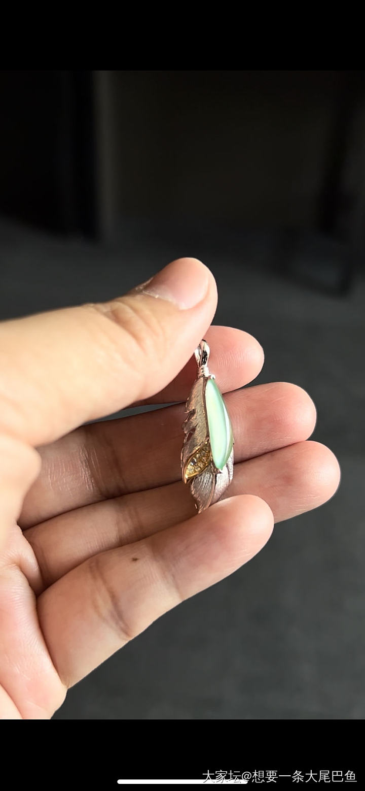 抢到一根羽毛🪶_吊坠翡翠