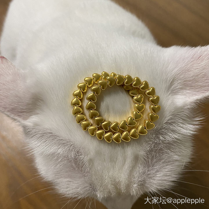 爱心手链_福利社手链金