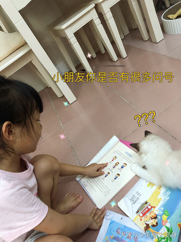 嘻嘻，上班中好想撸猫呀_猫