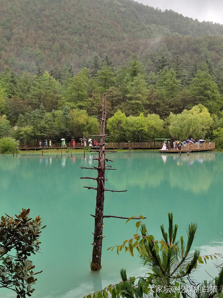 雨中蓝月谷和云杉坪_景色