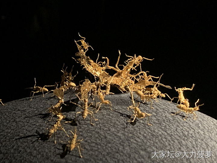 飘过深圳珠宝博物馆💎_博物馆翡翠