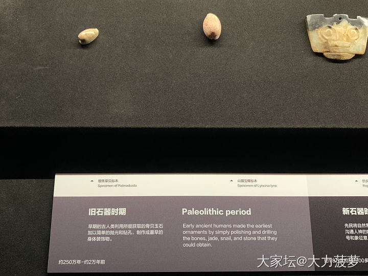 飘过深圳珠宝博物馆💎_博物馆翡翠
