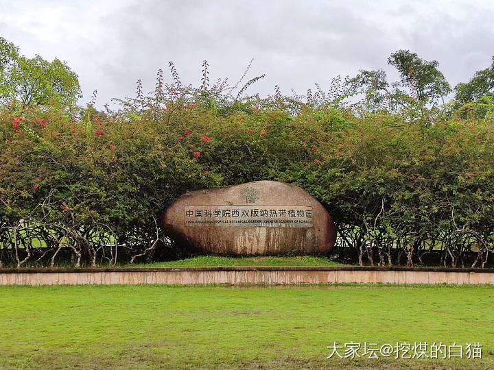 版纳中科热带植物园一日游_植物旅游