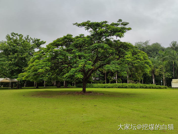 版纳热带花卉园与南药园_植物旅游