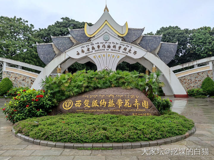 版纳热带花卉园与南药园_植物旅游