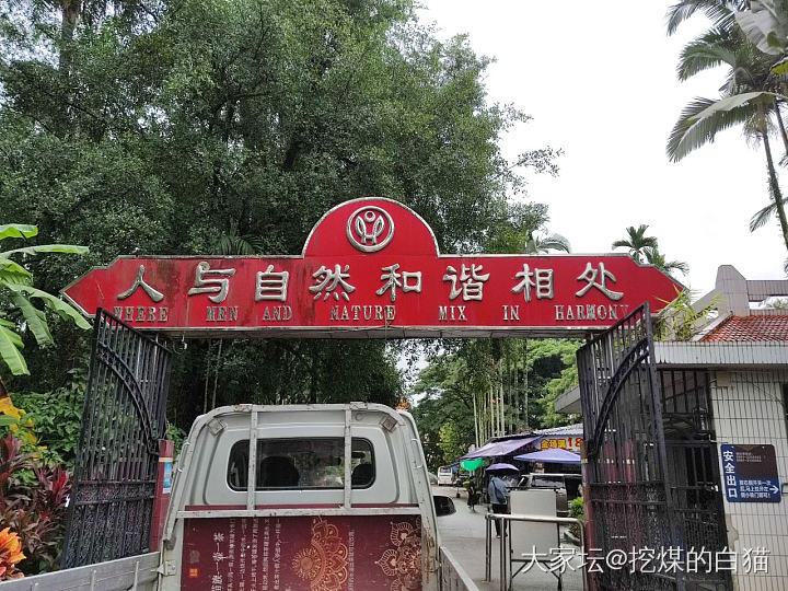 版纳热带花卉园与南药园_植物旅游