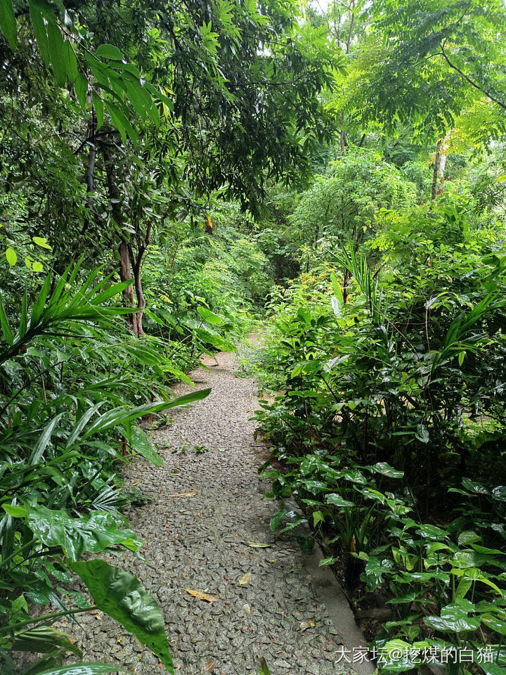 版纳热带花卉园与南药园_植物旅游