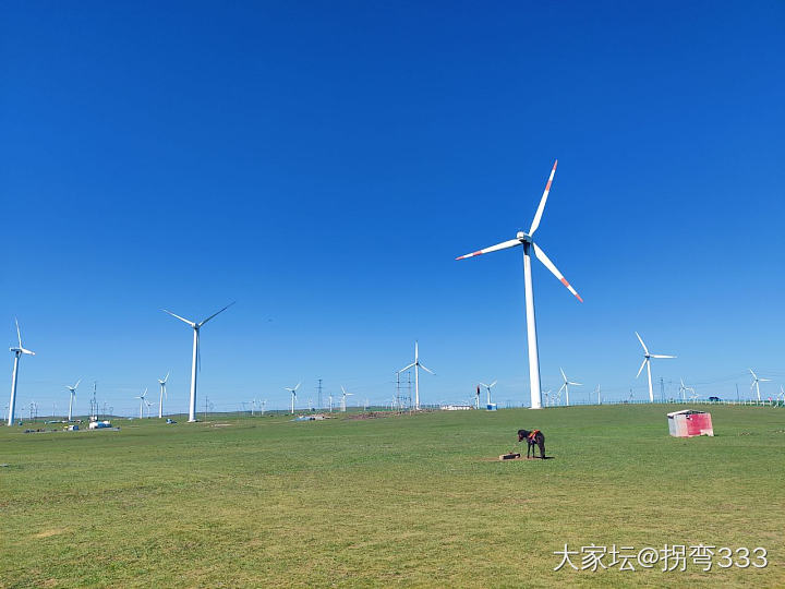 以后暑假 周五、六、日，千万别去景点儿～（自己要记住吖😄）_景色