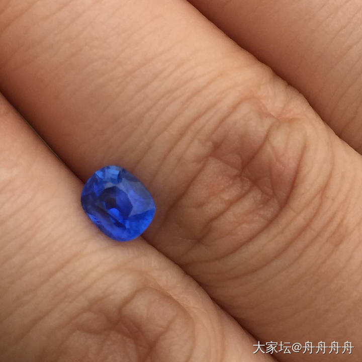 一颗美丽的小废物，想穿衣_镶嵌蓝宝石
