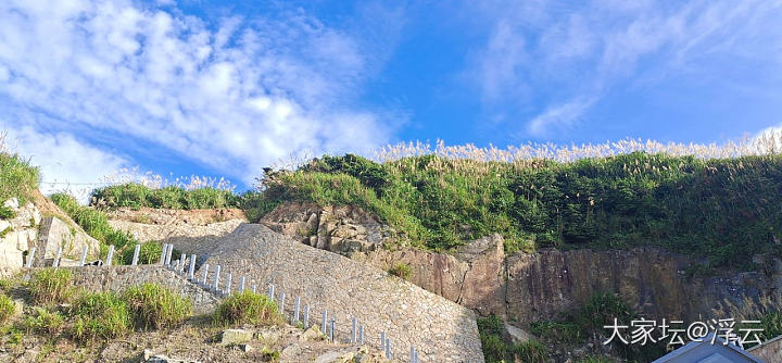七月中旬岛上行_大家谈旅游