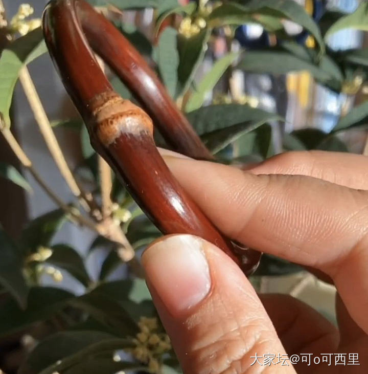 闲置鸡血藤4只打包100 8粗有节阳藤 皮质好阴藤_银