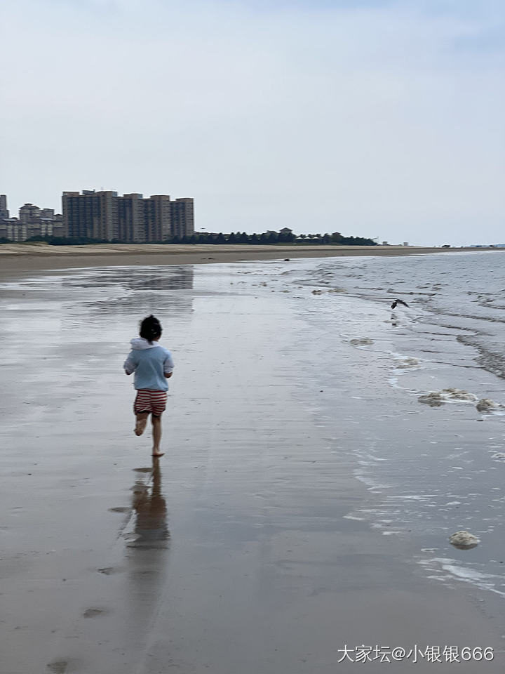 今天又去海边_旅游