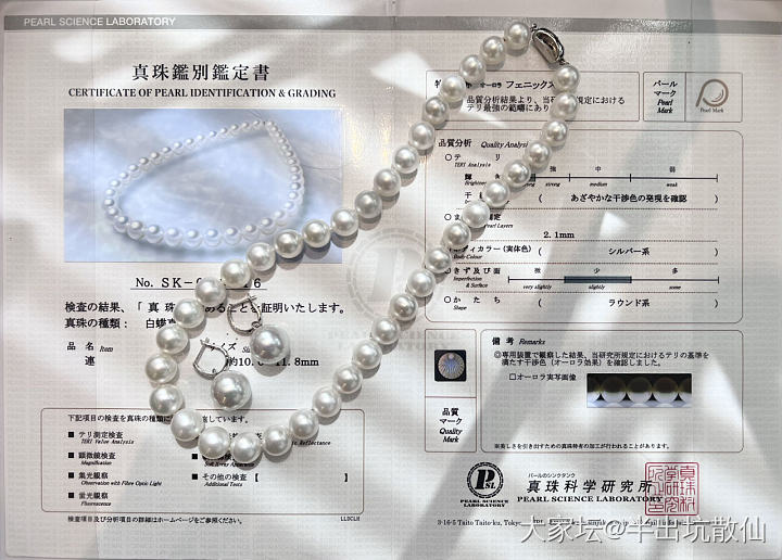 白天来一组澳白定妆照_珍珠耳环项链有机宝石
