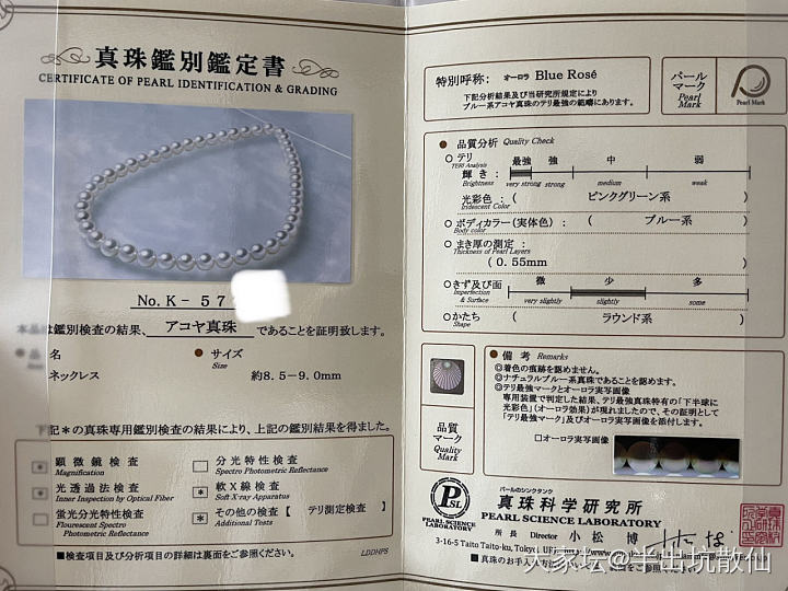 再入一条Blue Rose存档_海水珍珠项链有机宝石