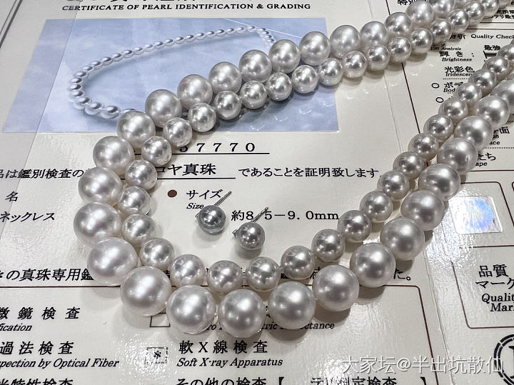 BlueRose与真多麻_珍珠珠串