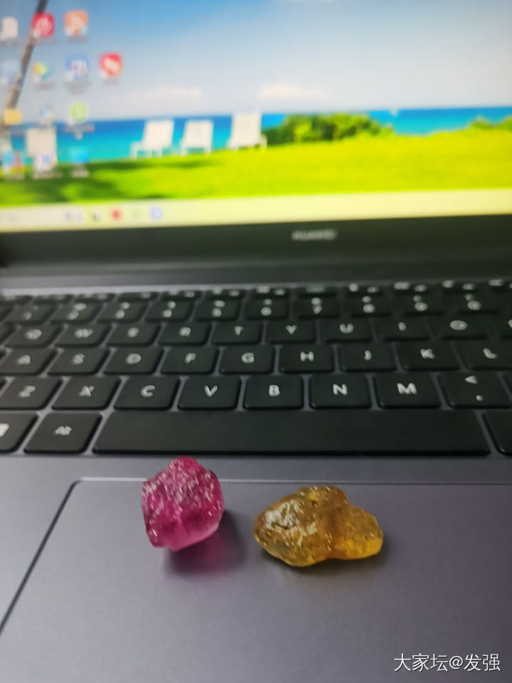都在晒台风苏拉。也要晒晒小碧碧才对嘛。_碧玺