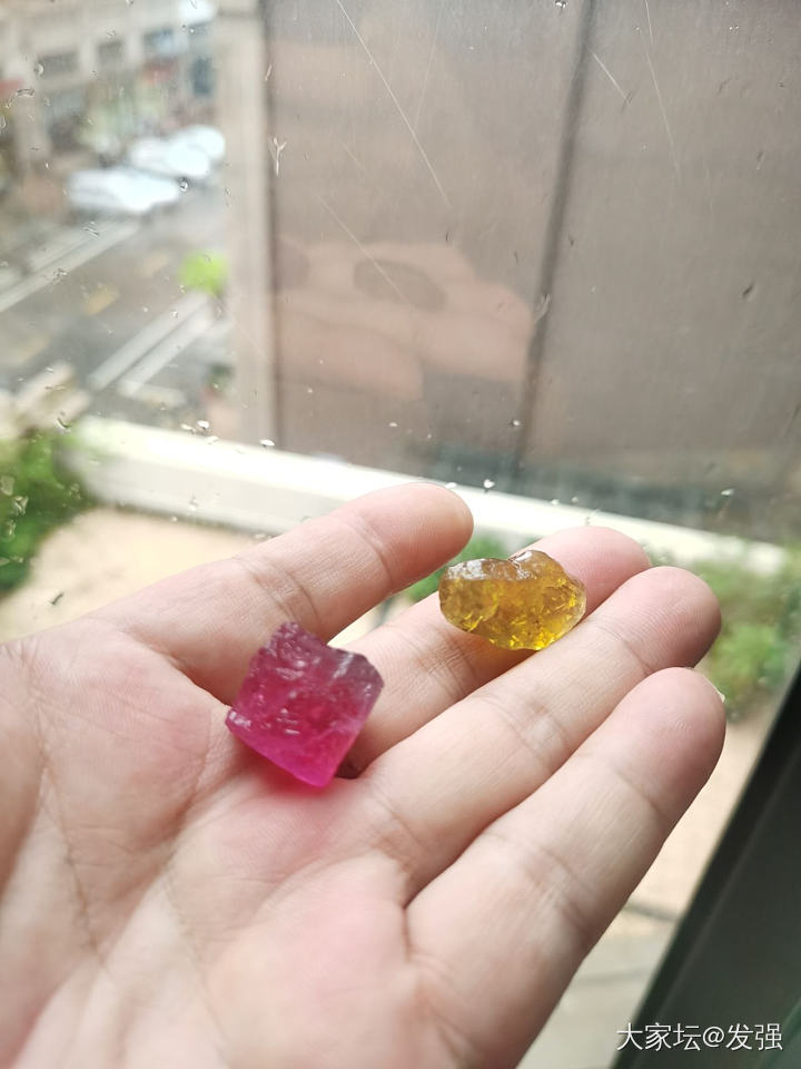 都在晒台风苏拉。也要晒晒小碧碧才对嘛。_碧玺