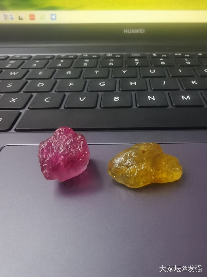 都在晒台风苏拉。也要晒晒小碧碧才对嘛。_碧玺