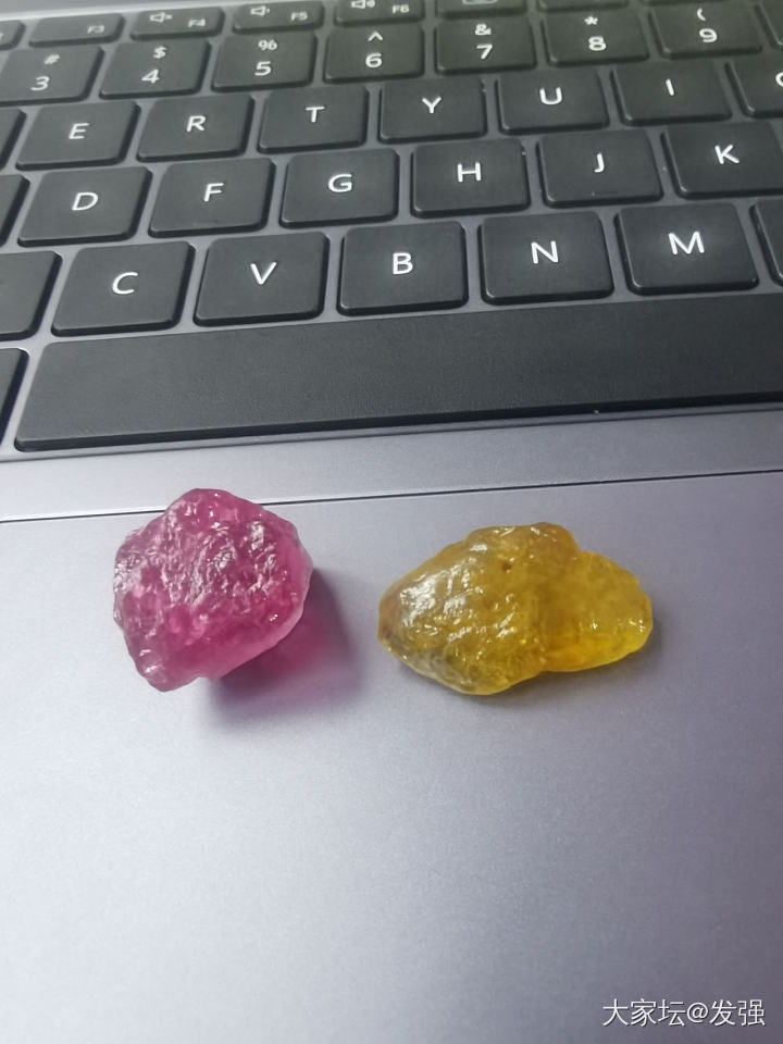 都在晒台风苏拉。也要晒晒小碧碧才对嘛。_碧玺