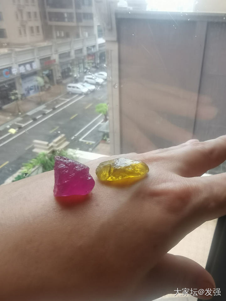 都在晒台风苏拉。也要晒晒小碧碧才对嘛。_碧玺