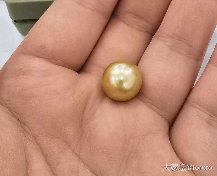 新收大金珠_珍珠