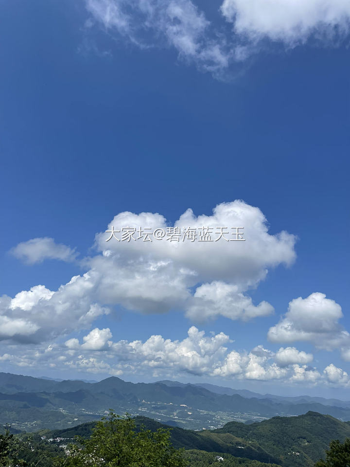 求问小红书购物用什么返利软件啊？_网络平台