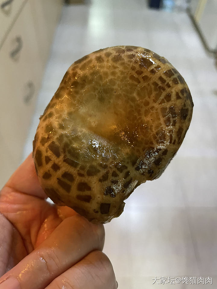 云南的菌菇🍄_食材