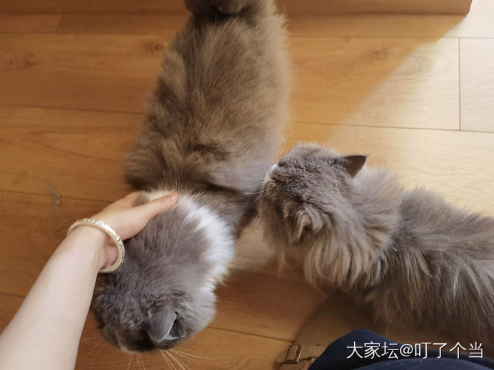 记录一下银坑生活_手镯银