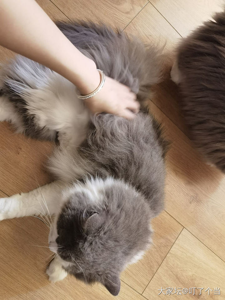 记录一下银坑生活_手镯银