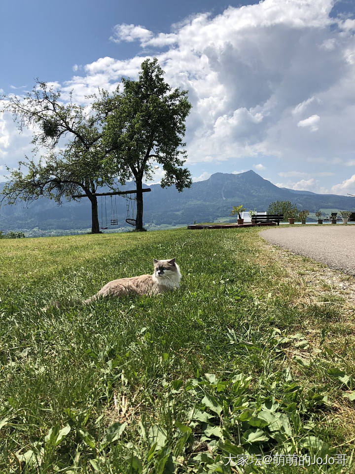 姨姨们我们出去玩啦_猫旅游