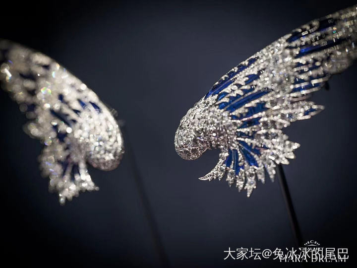 🤔️我不在家的日子里都错过了什么！_名贵宝石