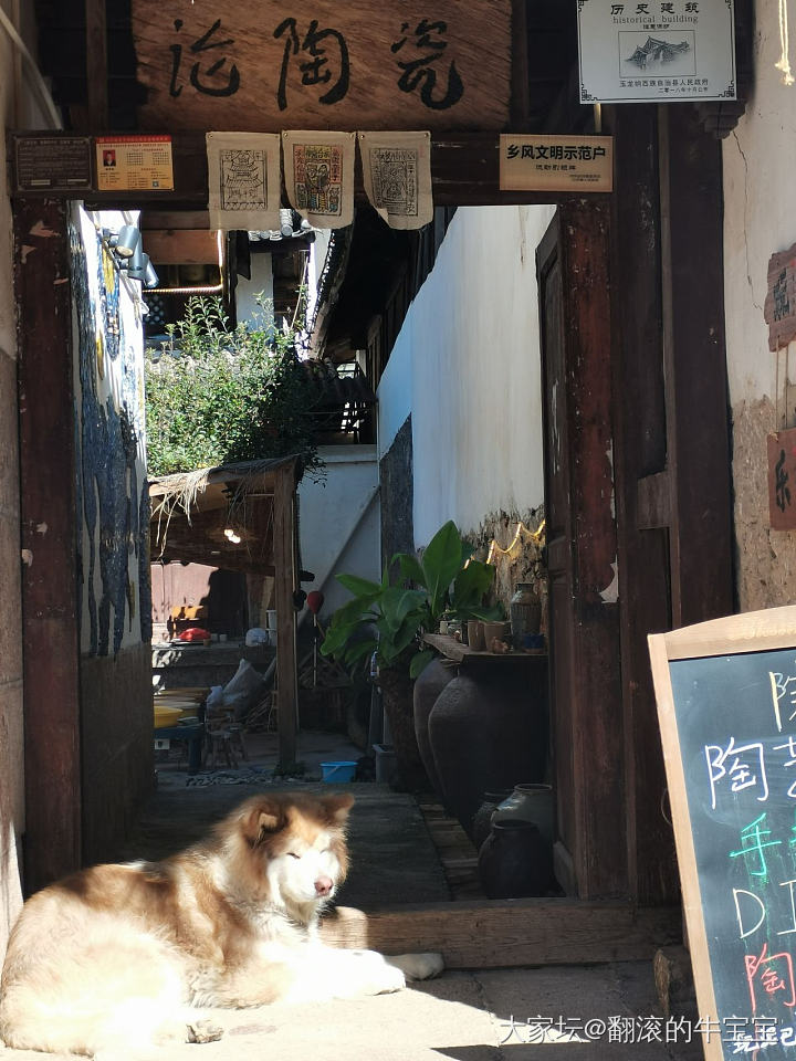 打卡丽江
丽江古城比较大，人多
束河古镇商业化程度轻，适合住宿
白沙古镇的商业整..._坛友风采生活旅游