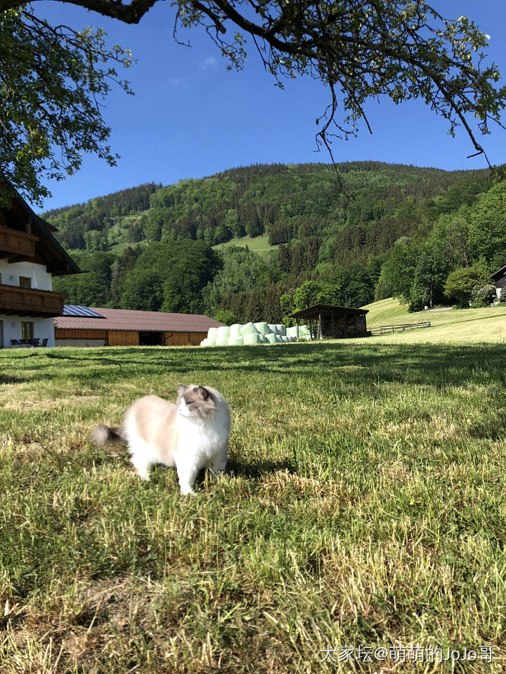 带孩纸们出行的乐趣_猫旅游