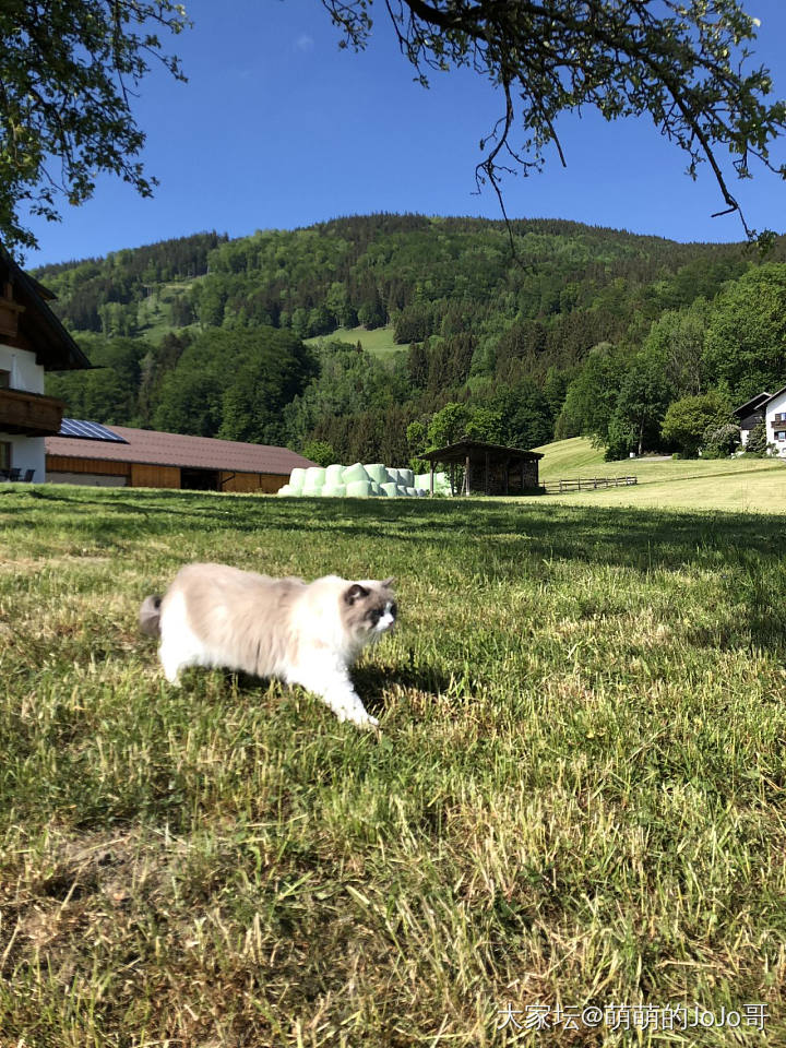 带孩纸们出行的乐趣_猫旅游