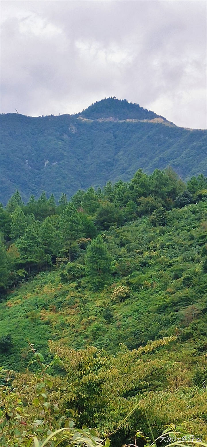 像小学生秋游，到山上看大风车路过水库，路过米面小镇，路过古拱桥，进入盘山公路。山..._旅游