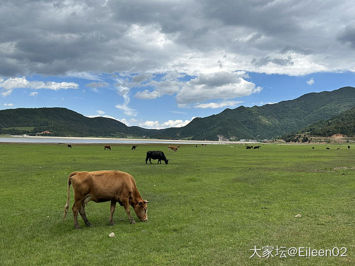 安利一个小众景色——文海村
纯自然生态，当地人在这里放放牛，跑跑马，没啥游客_旅游