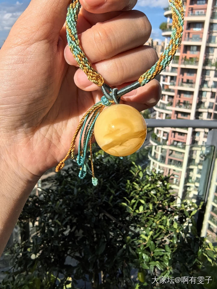 蜜蜡珠之海上升明月_蜜蜡琥珀蜜蜡