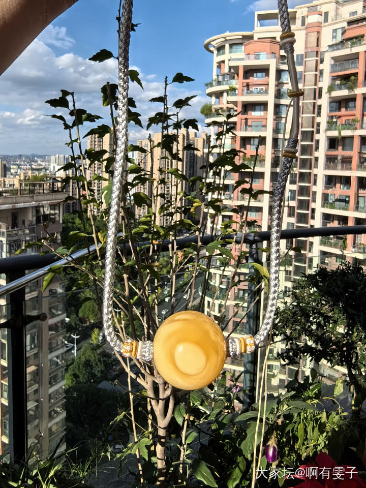 珠珠控之大眼睛大眼睛_琥珀蜜蜡