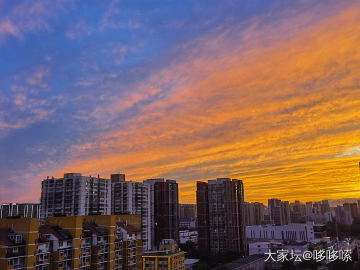 来了来了  它铺天盖地的来了_景色