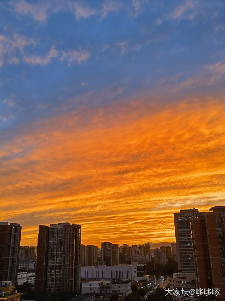 来了来了  它铺天盖地的来了_景色