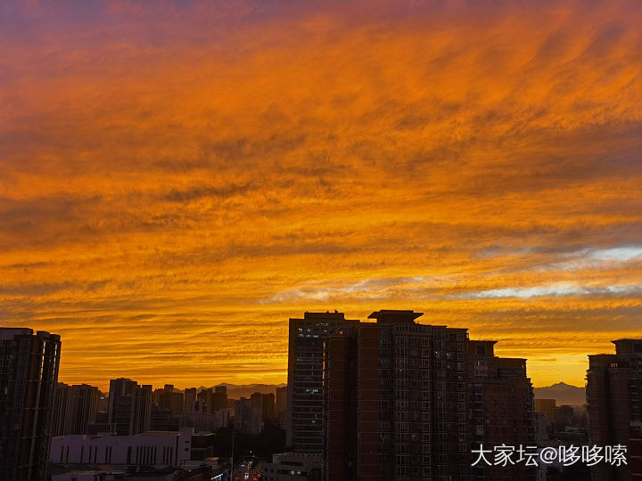 来了来了  它铺天盖地的来了_景色