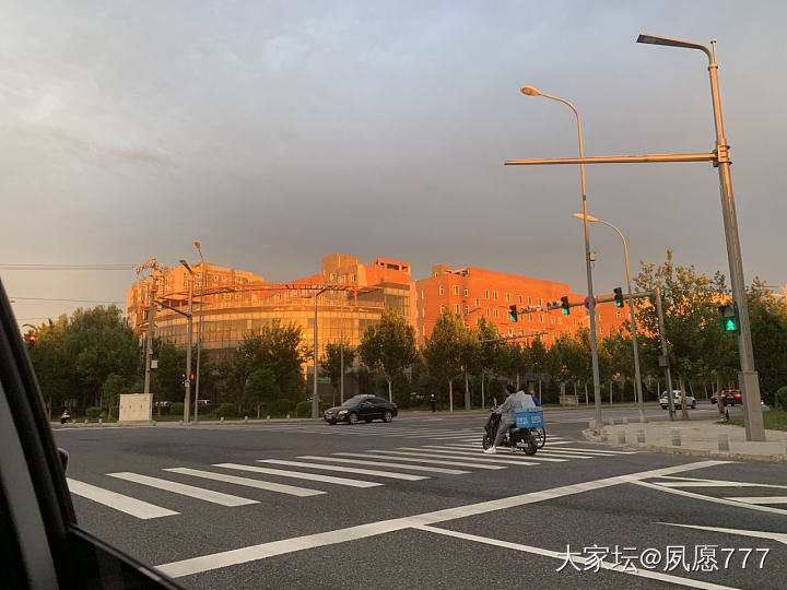 来了来了  它铺天盖地的来了_景色