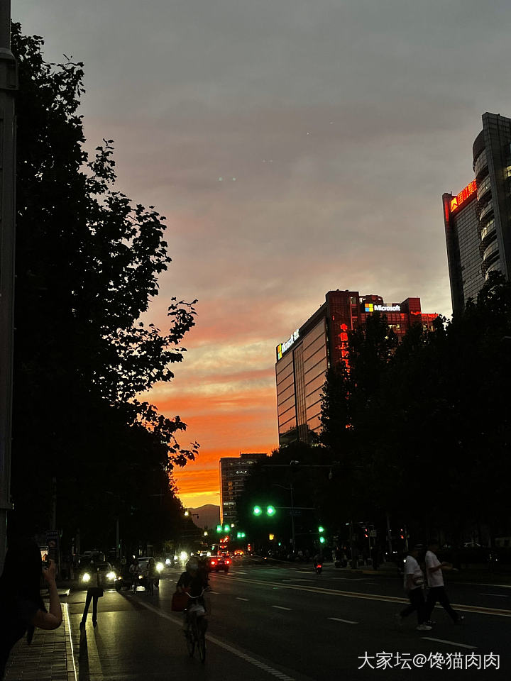 来了来了  它铺天盖地的来了_景色